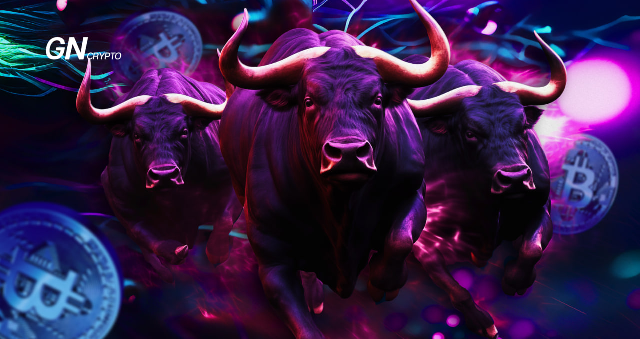 How to Prepare for the Crypto Bull Run and Avoid Loss?