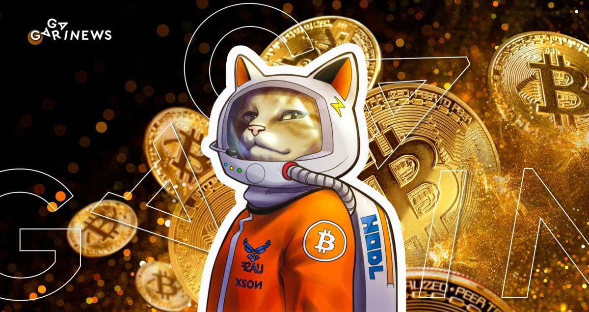“Bitcoin is For Enemies, Friends, Everyone,” says Hodlonaut